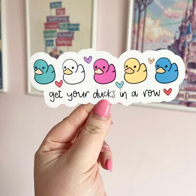 'Ducks in a Row' Large Clear Sticker