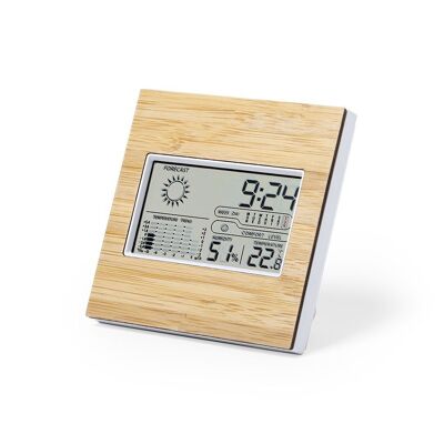 Ecological bamboo weather station