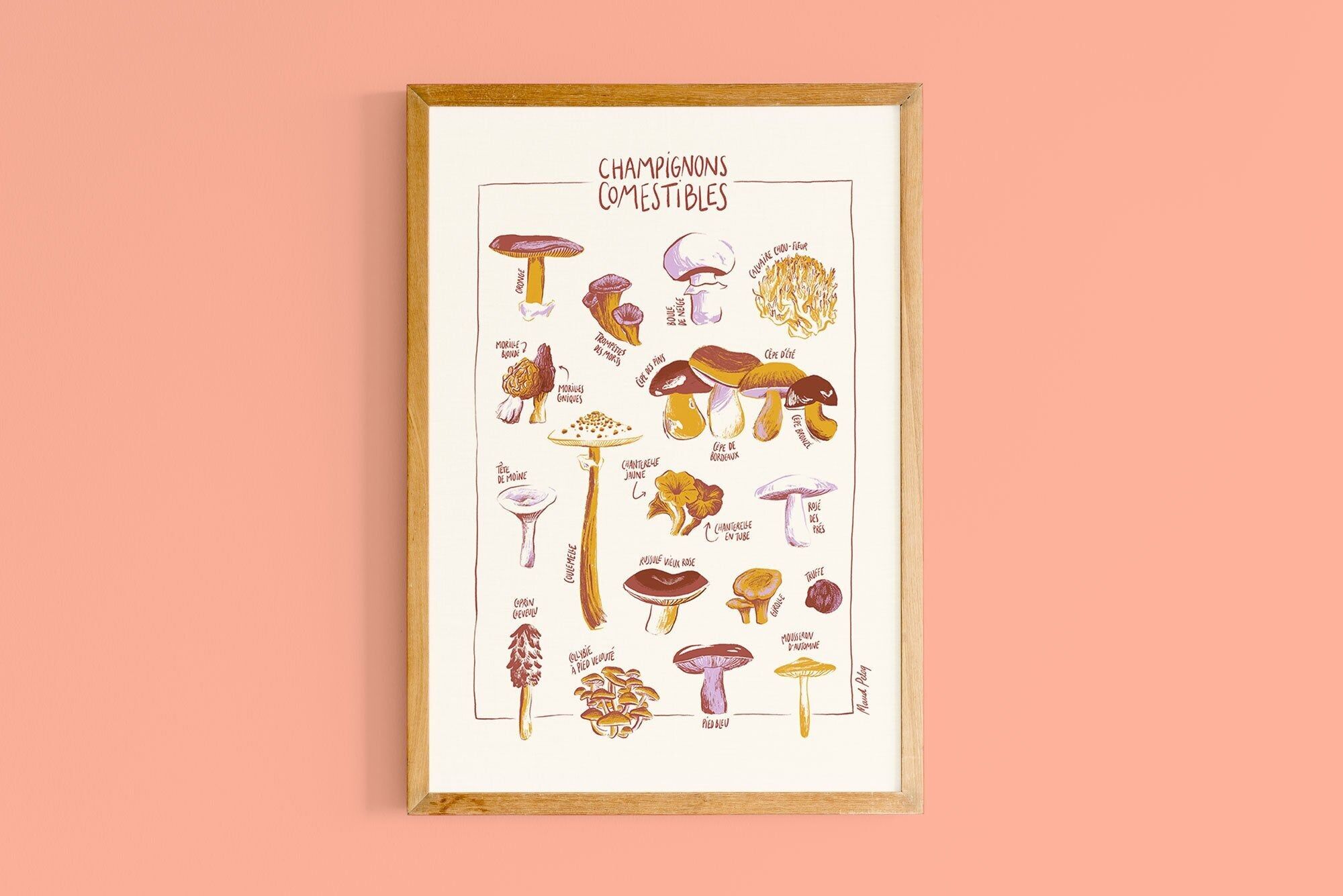 Affiche Champignons