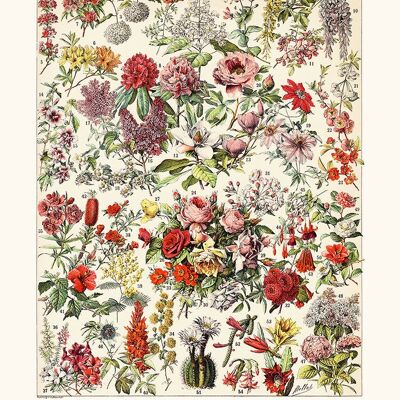 Flowers shrubs poster