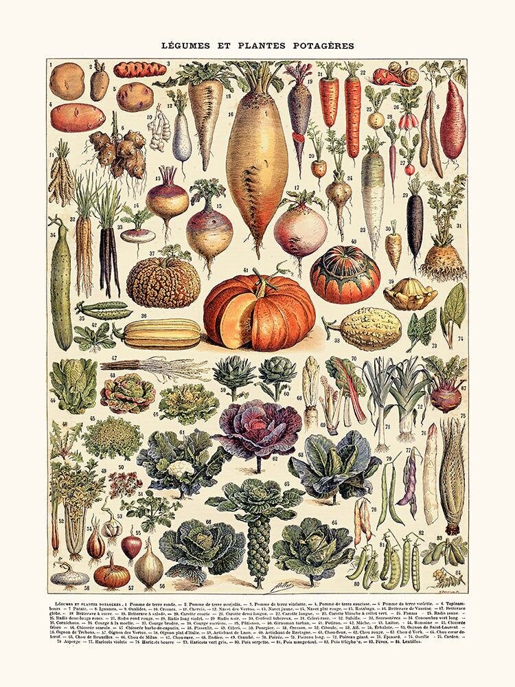 Vegetable Poster
