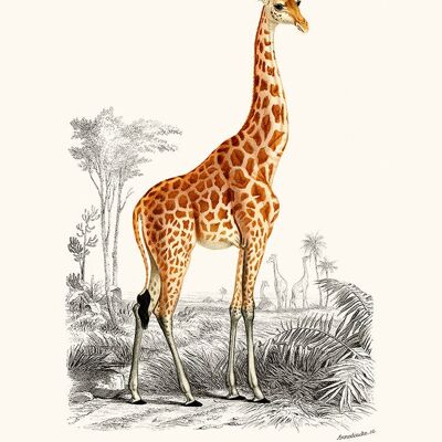 Manifesto della giraffa