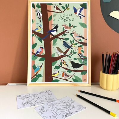 Playful children's poster of birdsong A3