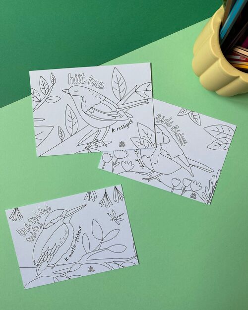 Cartes postales à colorier oiseaux pour coloriage enfant