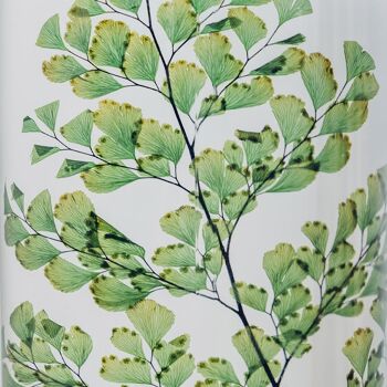 Offre -Les 4 Herbariums de Théophile - Gypso bleu + Plumosus + Luthi + Broom jaune 10