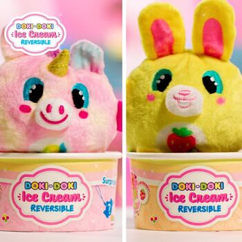 Doki Doki Ice Cream Réversible : Funny Box 3 sujets différents 2