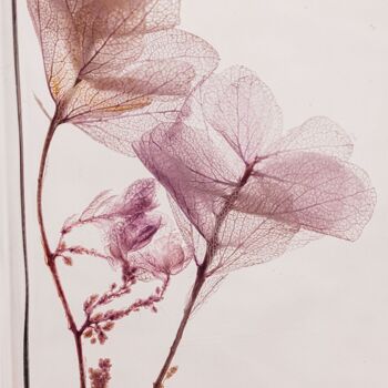 Offre -Les 3 Herbariums de Théophile - Eucalyptus violet + Ruscus rose + Hortensia Lilas 5