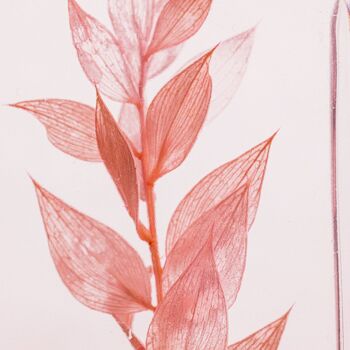 Offre Fête des mères -Les 3 Herbariums de Théophile - Eucalyptus violet + Ruscus rose + Hortensia Lilas 7