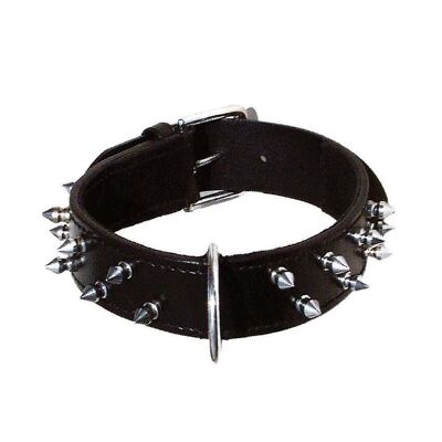 Collar para perros Bobby - Rock Attitude