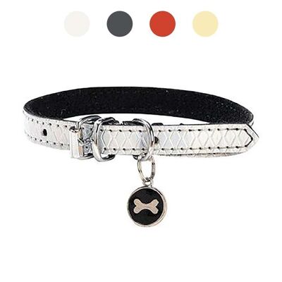 Collar para perros Bobby - Power