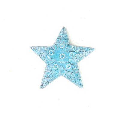 TURQUOISE WOOD STAR HM47584
