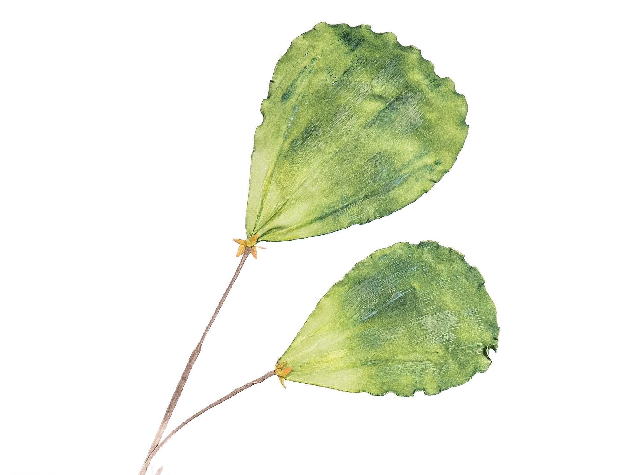 GRANDI LASTRE IN SCHIUMA VERDE HM96