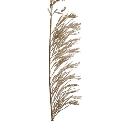 SPOLVERINO BEIGE HM843223