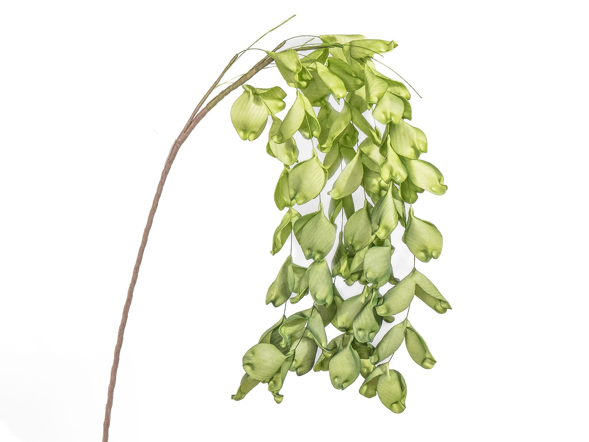 RAMO PENDENTE IN SCHIUMA VERDE HM95