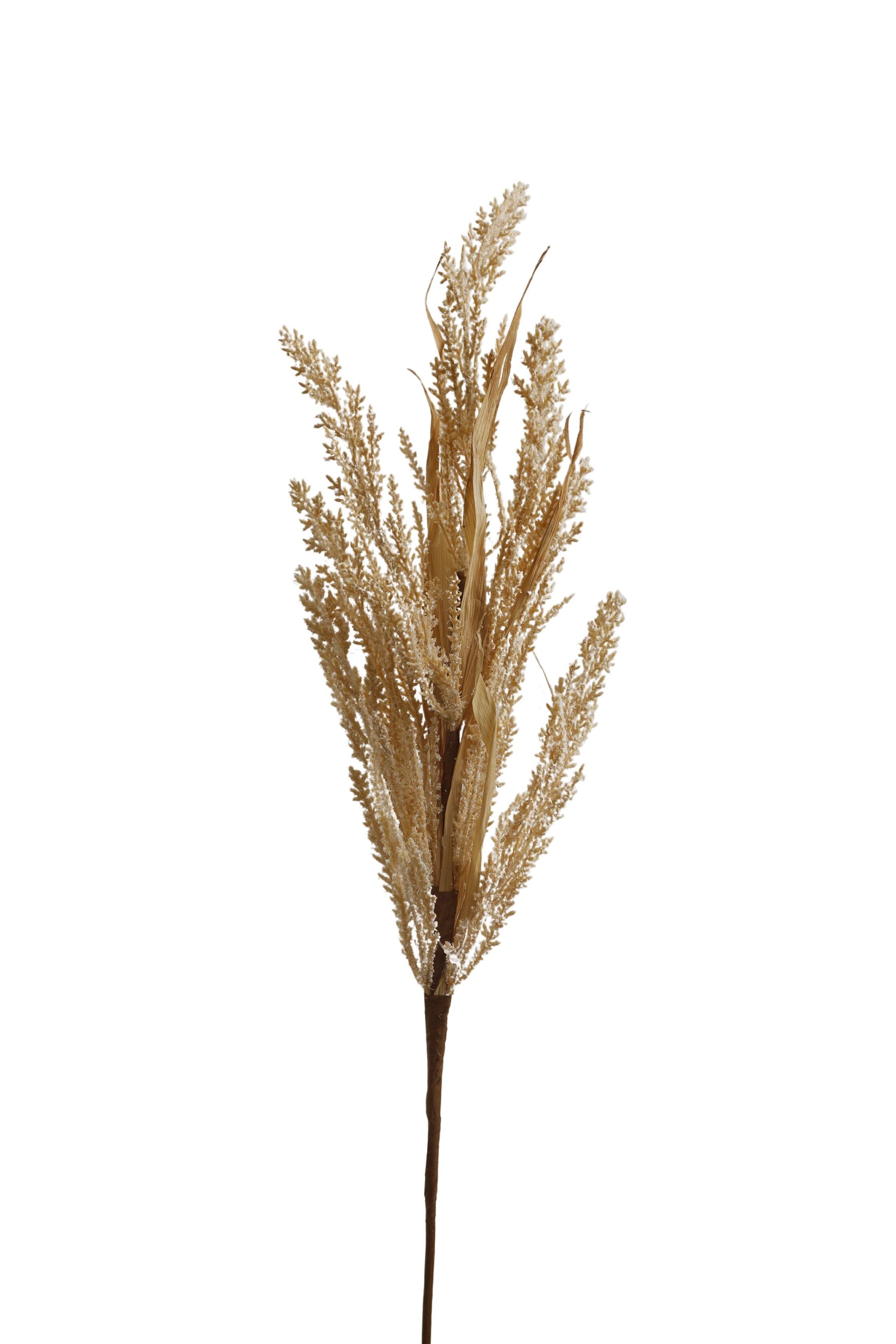 BRAUNER ZWEIG HM843216