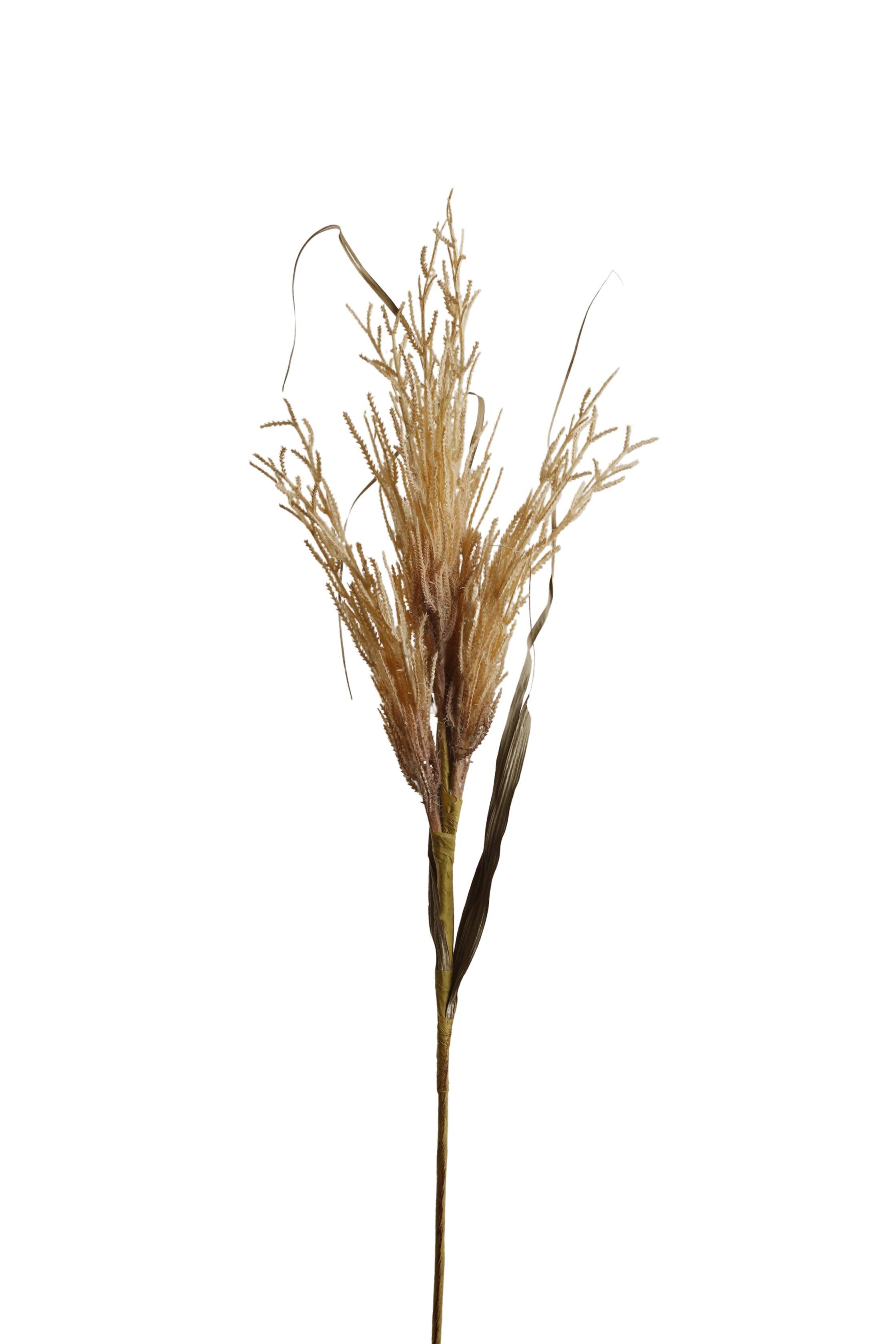 ASTA DI RAMO MARRONE HM843220