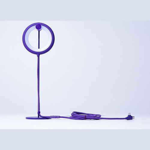 💡 Lampe Nomade Bily Bird Violet 💡