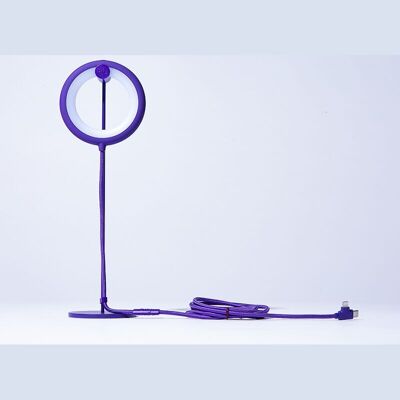 💡 Bily Bird Purple Nomad Lamp 💡