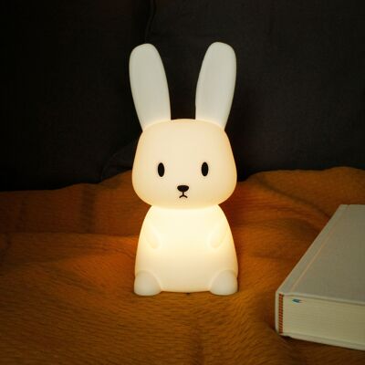 Night light rabbit | color change