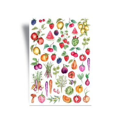 Washi Stickers - Juicy