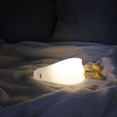 Night light duck | Light modes