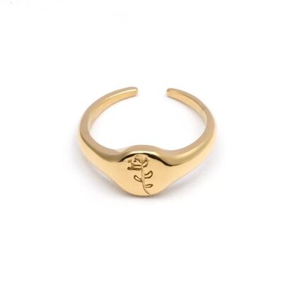 Ring stainless steel GOLD - R4017211350