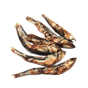 Snack pour chien aux anchois séchés - Niki Natural Barf 1
