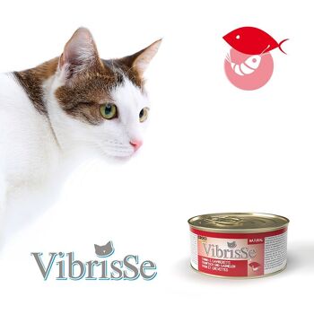 Nourriture naturelle pour chat - Vibrisse Natural 8