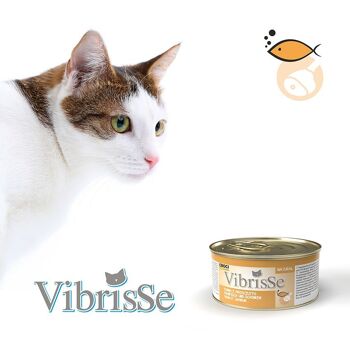 Nourriture naturelle pour chat - Vibrisse Natural 14