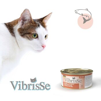 Nourriture naturelle pour chat - Vibrisse Natural 17