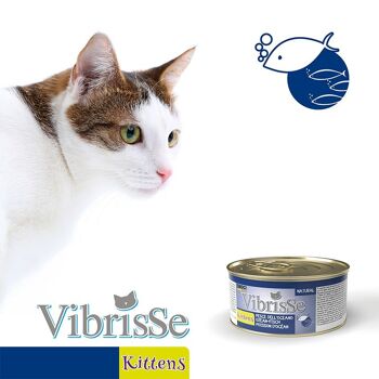 Nourriture pour chatons - Vibrisse Natural Chatons 70g 6