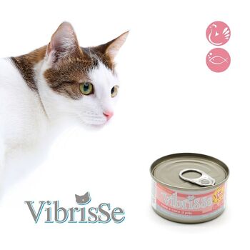 Aliment naturel pour chat - Vibrisse Menu 70g 4