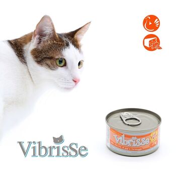 Aliment naturel pour chat - Vibrisse Menu 70g 10