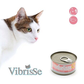 Aliment naturel pour chat - Vibrisse Menu 70g 17