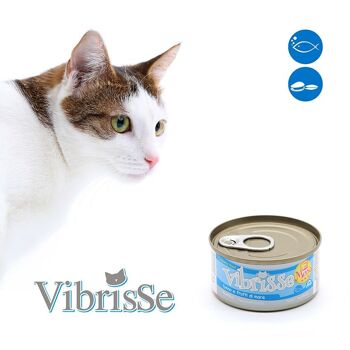 Aliment naturel pour chat - Vibrisse Menu 70g 19