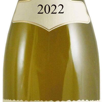 Petit Chablis 2022 Domaine Maurice Lecestre