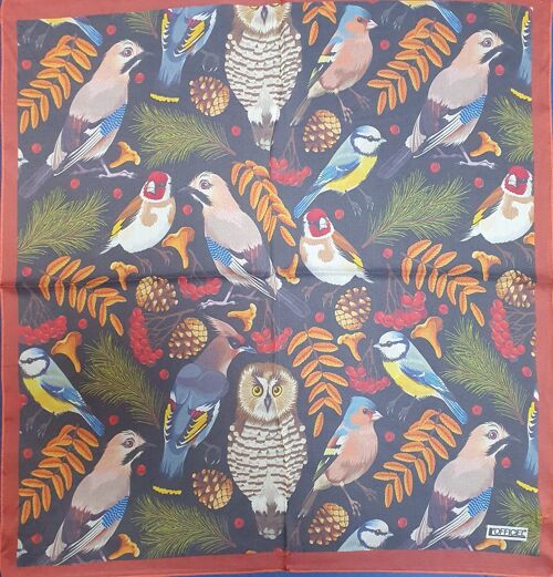 Foulard seta 70X70 multicolore seta leggera con volatili