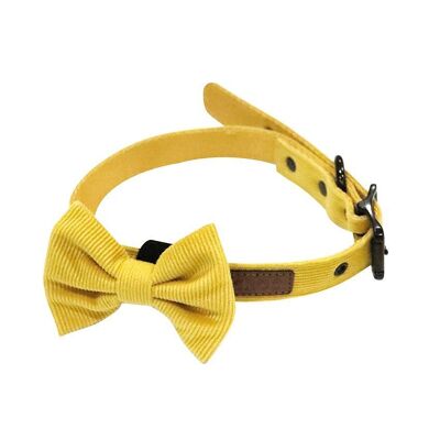 Collier pour chien - Soyeux