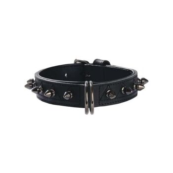 Collier pour chien Bobby - Hercule 9