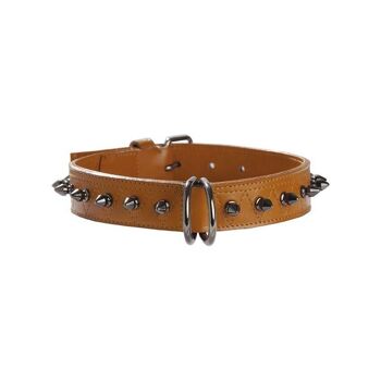 Collier pour chien Bobby - Hercule 12