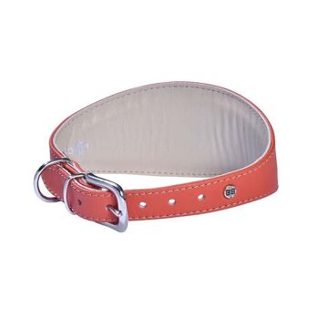 Collier pour chien Bobby - Greyhound Nicky 6