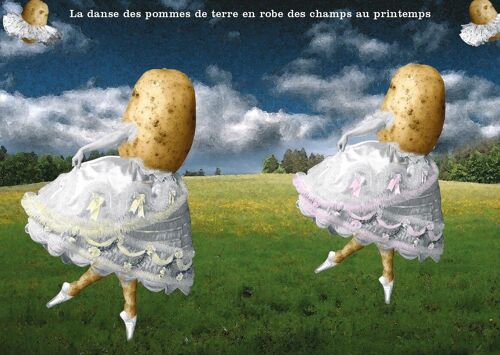 Carte postale - Danse des pommes de terre.