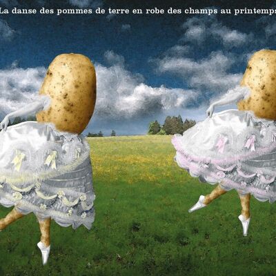 Carte postale - Danse des pommes de terre.