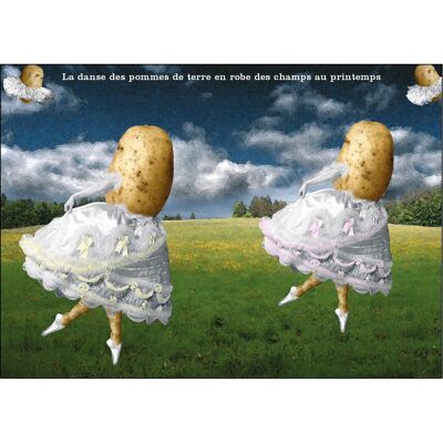 Cartolina - Danza delle patate.