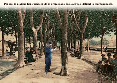 Carte postale - Popaul, le platane libre penseur de la promenade des Barques, défiant la maréchaussée.