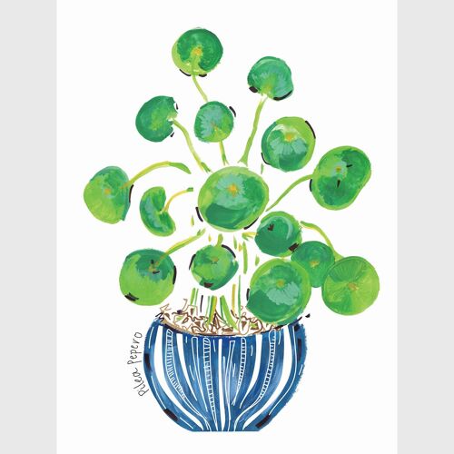 Pilea Art Print - Medium