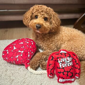 WufWuf Love is in the Air, peluche en forme de ballon, froissé, jouet en corde pour chien 4