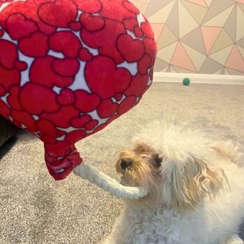 WufWuf Love is in the Air, peluche en forme de ballon, froissé, jouet en corde pour chien 5