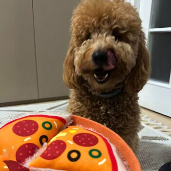 WufWuf Pupperroni Pizza Jouet interactif à cache-cache en peluche pour chien 7