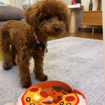 WufWuf Pupperroni Pizza Jouet interactif à cache-cache en peluche pour chien 9